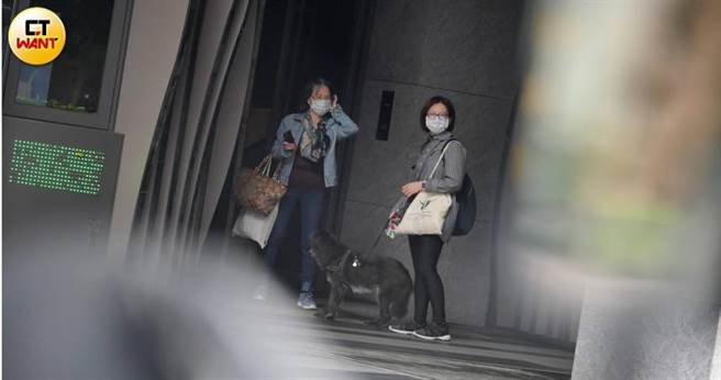 林依晨|林依晨露面倒数 直击婆婆月子中心探孙女