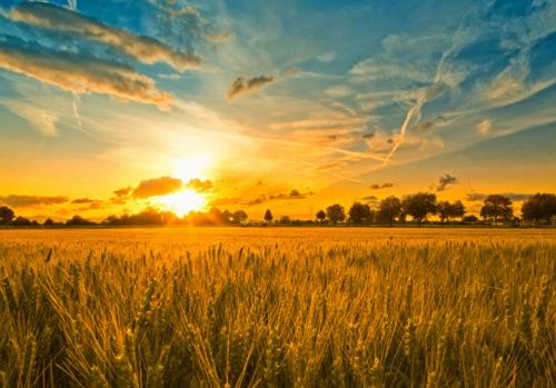 卜师傅八字命理|他这命中有财，又伤官生财，财富有源头，这一生必然不缺钱花