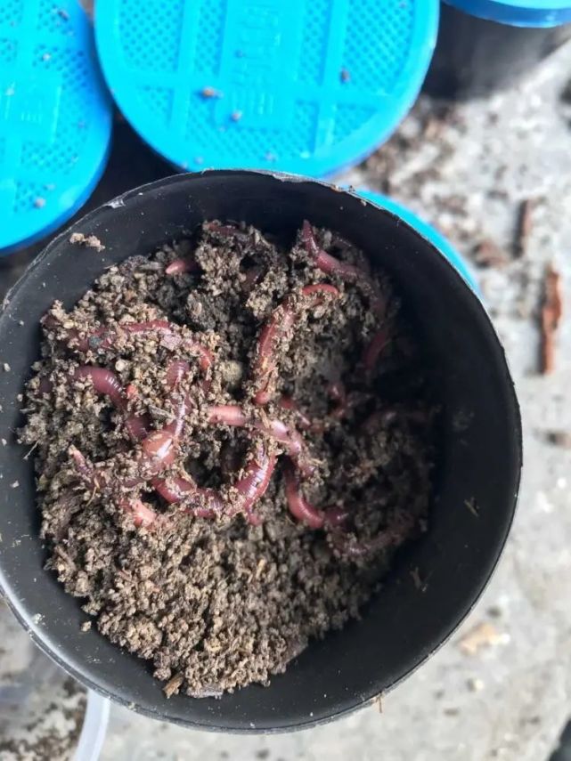 创业|江西农村将迎来新机遇，疫情后，十大创业项目出炉