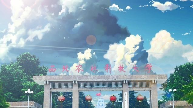 情窦初开的青春|西安高校新排名:西电位居第3,长安大学第5,3所双非或入双一流