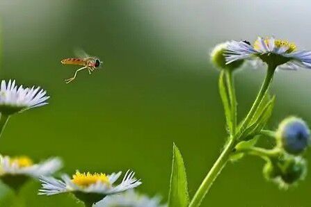 取陌生为名|2021年抖音最伤感句子，送给伤心人：奈何人是剧中人