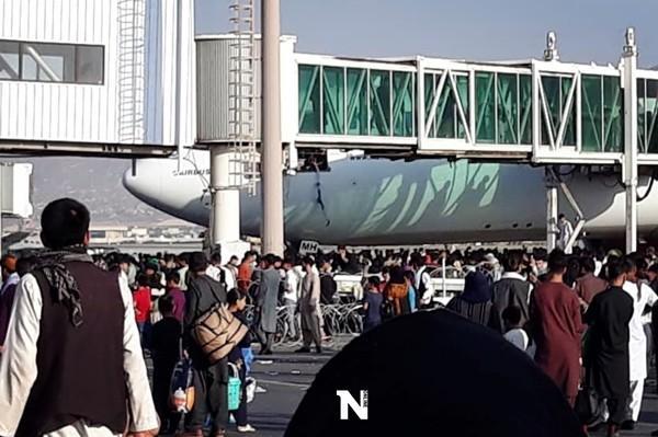 中國啥時從阿富汗撤僑？完全碾壓西方，喀佈爾的機場中國人不用擠-圖3