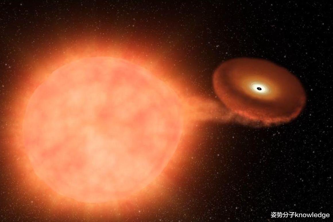 蚊子 2083年，人类或将见证1100外光年的一颗新星，它有多亮？