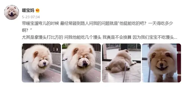 张淇|恭喜！终于爆红，他可出道了19年