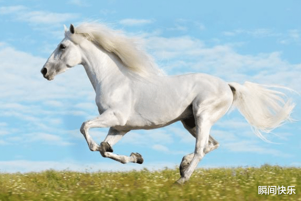 瞬间快乐 11月起事事亨通,3生肖赢得先机,闯出名堂,人缘爆棚,生意兴旺