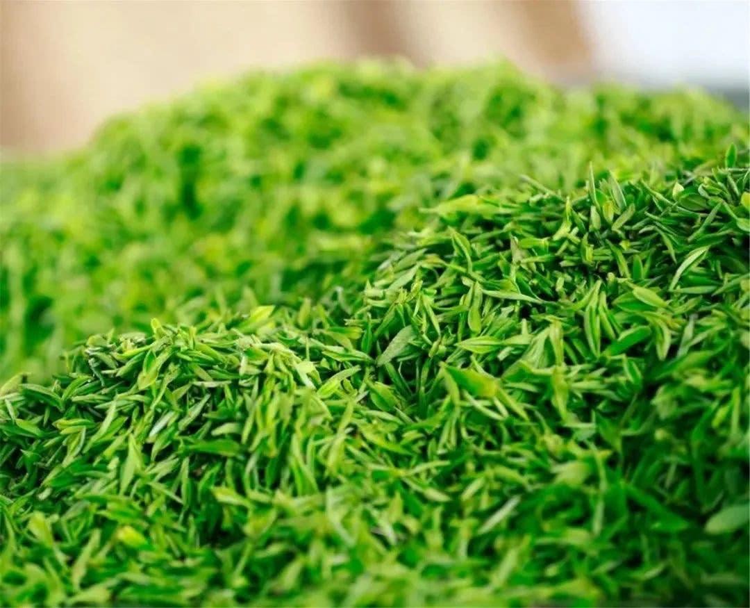 血糖|春節將至，為什么要多喝茶？只因茶中有3寶！
