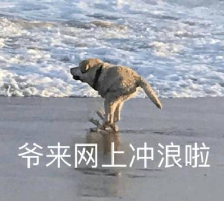 电影|微信和QQ最爽的功能，今天彻底被关闭了