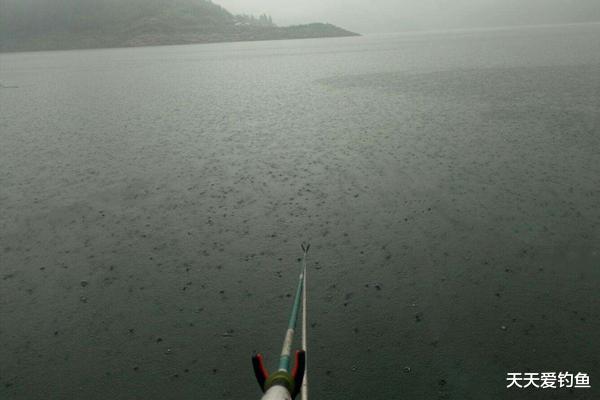 |春季钓鱼，天气讲究钓烟雨雾，遇上下雨天，鱼应该这样钓！