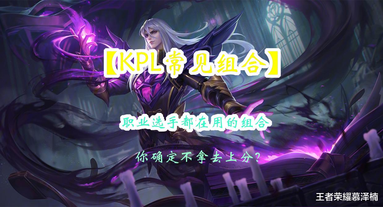 kpl|【KPL常见组合】职业选手都在用的组合，你确定不拿去上分？