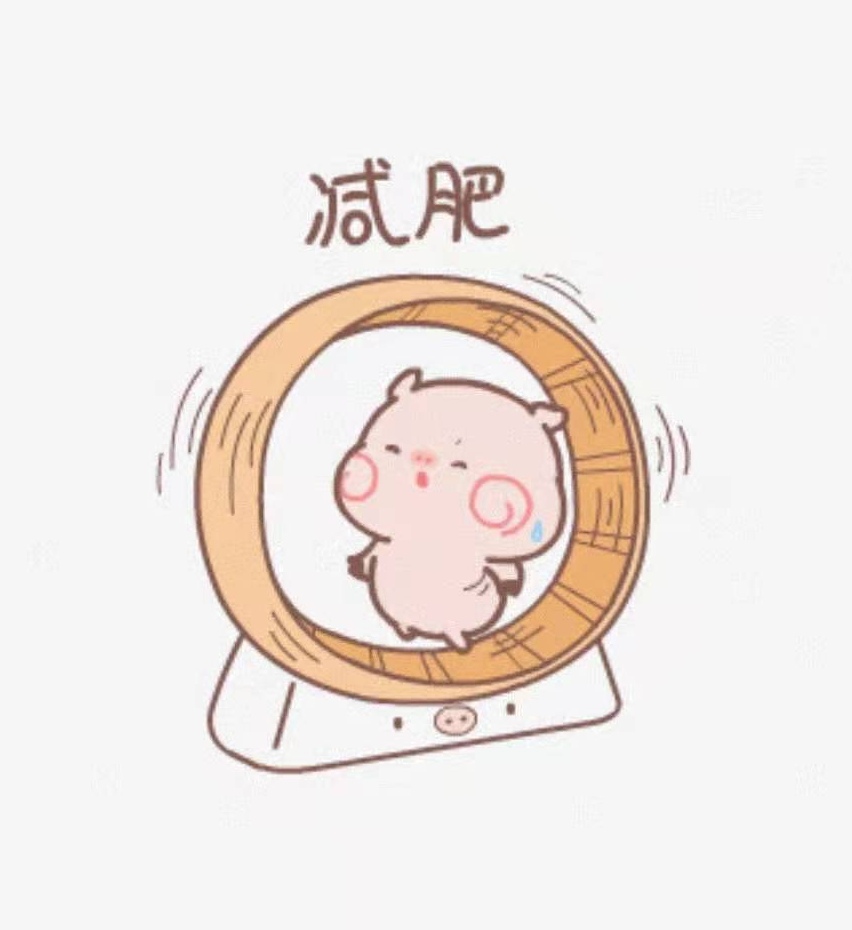 短裙 减肥干货分享，新手小白必看，帮你越过雷区。