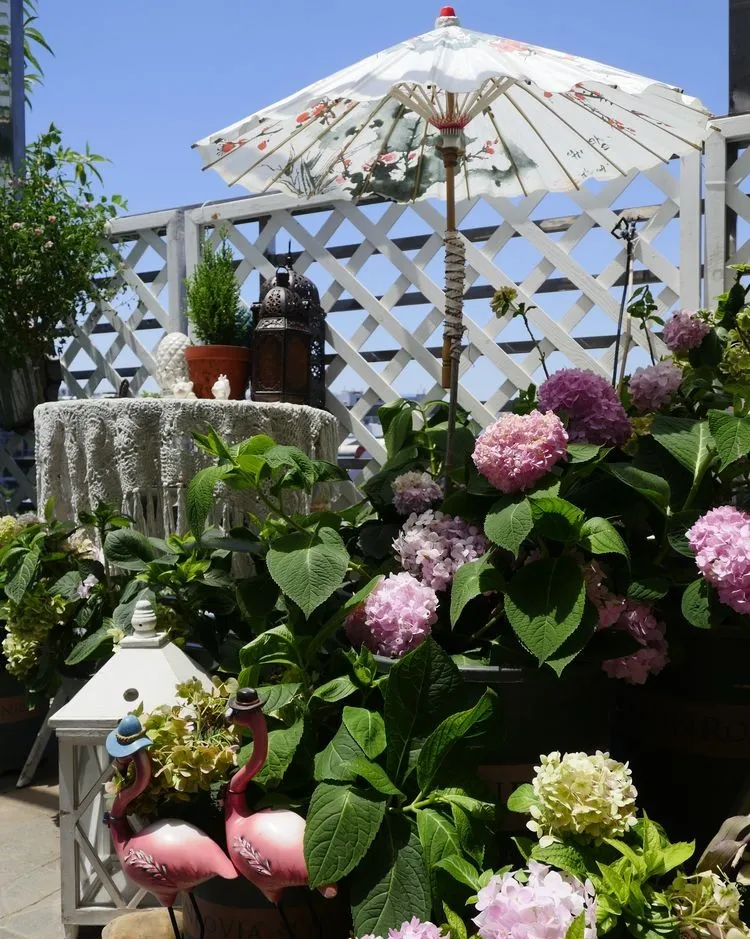 4年前，毫不犹豫买了这个带60㎡露台的房子，开始DIY改造小花园