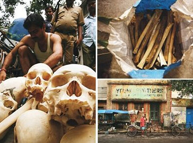 西安地铁 印度最骇人的黑市，拿亲人的尸骨换钱。一根肋骨标价6万