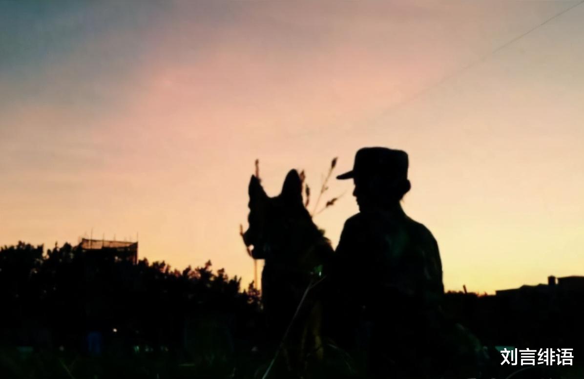 何捷|张馨予的老公何捷！到底有多厉害？难怪一身黑料还能在娱乐圈翻红