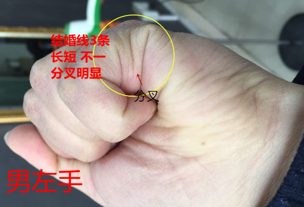 诚然情感之事|手相: 自个买马自个骑，事业上容易飞黄腾达的特征！