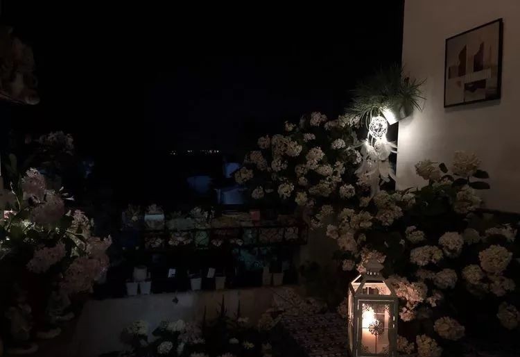 |3㎡的阳台能干嘛？这个宿舍小阳台花园或许会惊艳到你，看看吧！