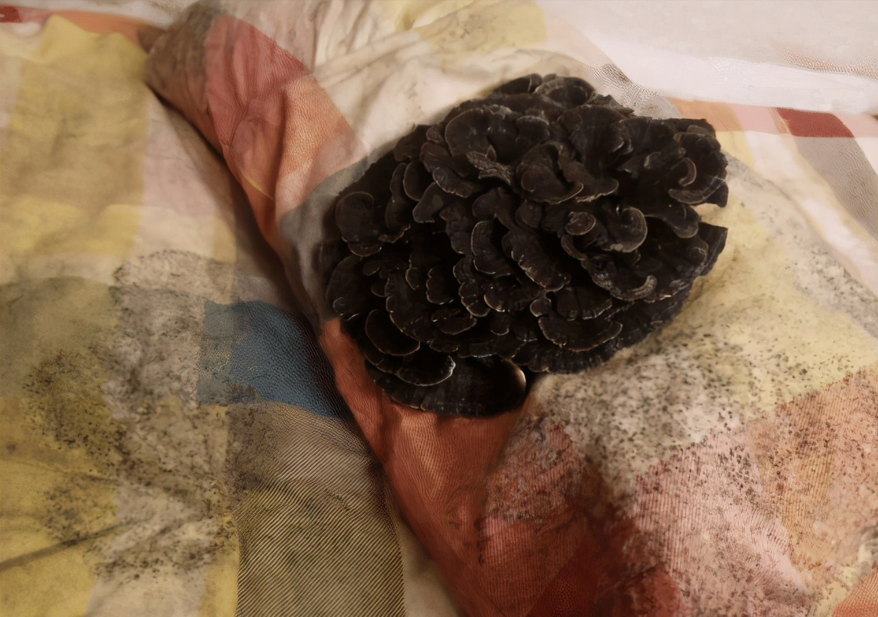 |【幽默问题】最无用的节俭行为是什么？