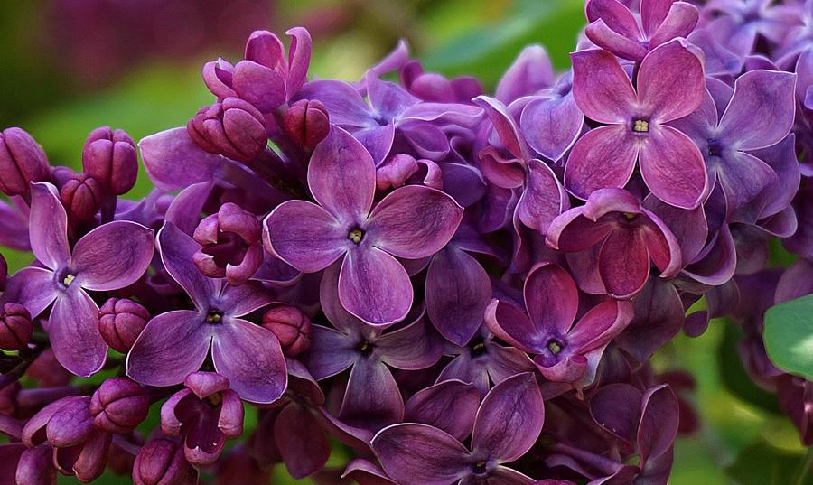 射手座|2021年射手座事业运势，努力地学习，职场发展顺风顺水，升职加薪