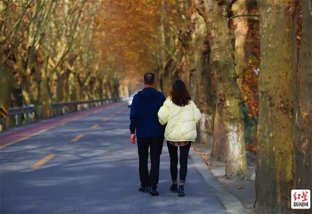 青藏铁路|走，去温江最美乡村路打卡