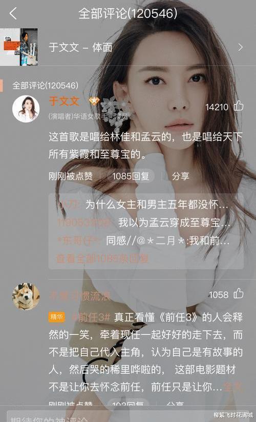 于文文|歌手出身的于文文，依靠《前任3》大火之后，竟从一线跌到了18线