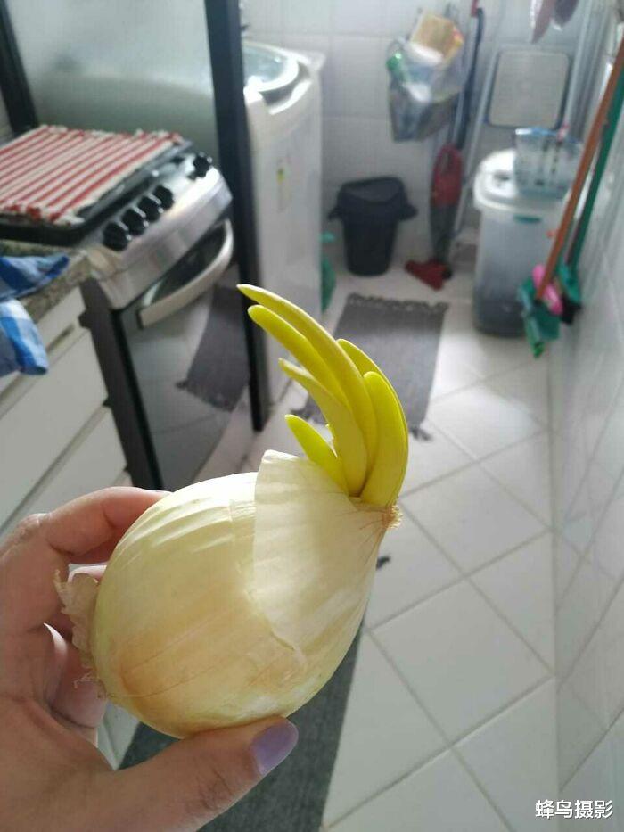  40张一眼会看错的照片，图3至少看三遍否则看不懂，大脑欺骗了你