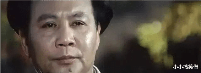 宋美龄|刘涛的宋美龄“美得可以”，于和伟的林彪让我替他捏把汗