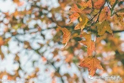 生物考古 运动神经元的基本常识
