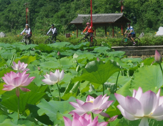 属鼠|6月开始，4属相咸鱼翻身，喜事不断，添丁旺财，大吉大利