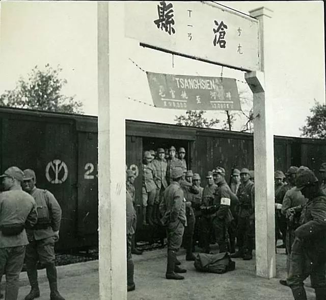 金狮奖|惋惜！国家一级演员张家声不幸病逝，生前曾获金狮奖