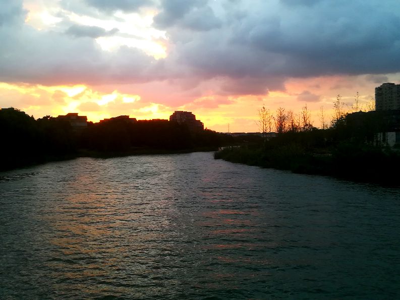 |霞光撒了一地，雨露随后就到？