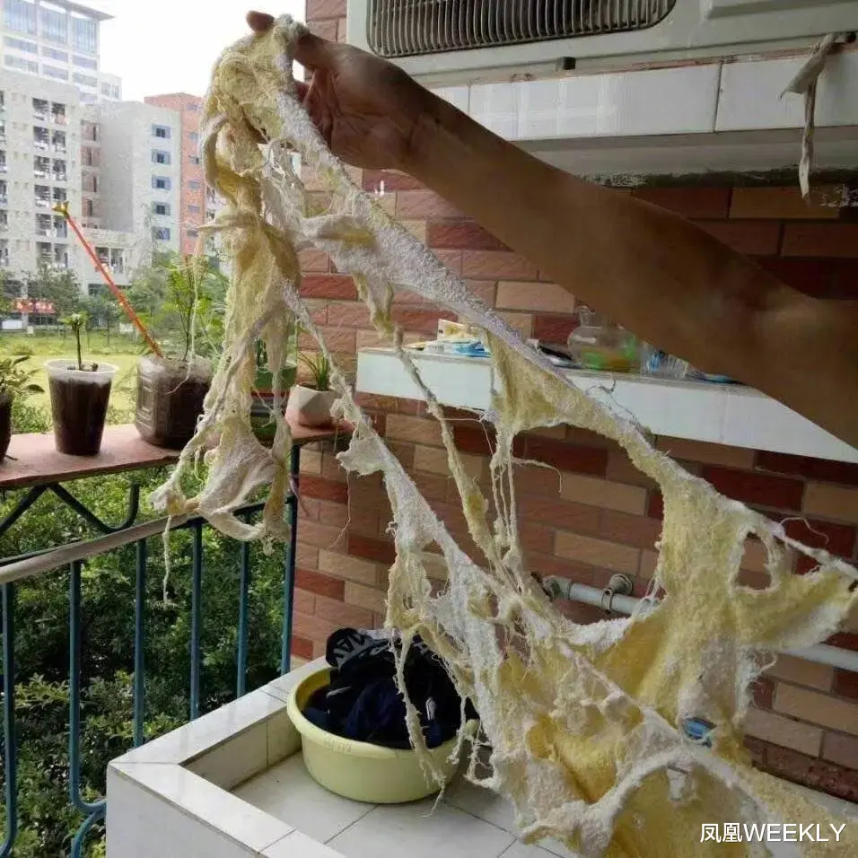 凤凰WEEKLY 论抠门，中国女人为什么比不过中国男人？