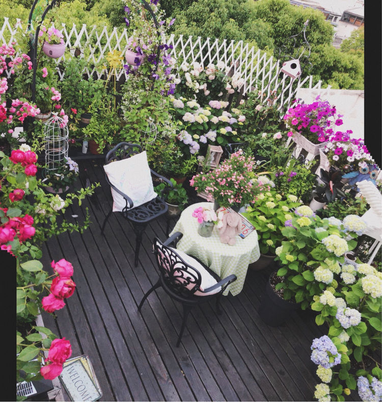 花一年多时间，改造16㎡屋顶露台，荒废屋顶变身“空中小花园”