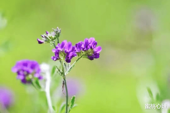 蜜桃心理|不适合娶回家的女人,身上会有这些特征,身上多半带有“浊气”