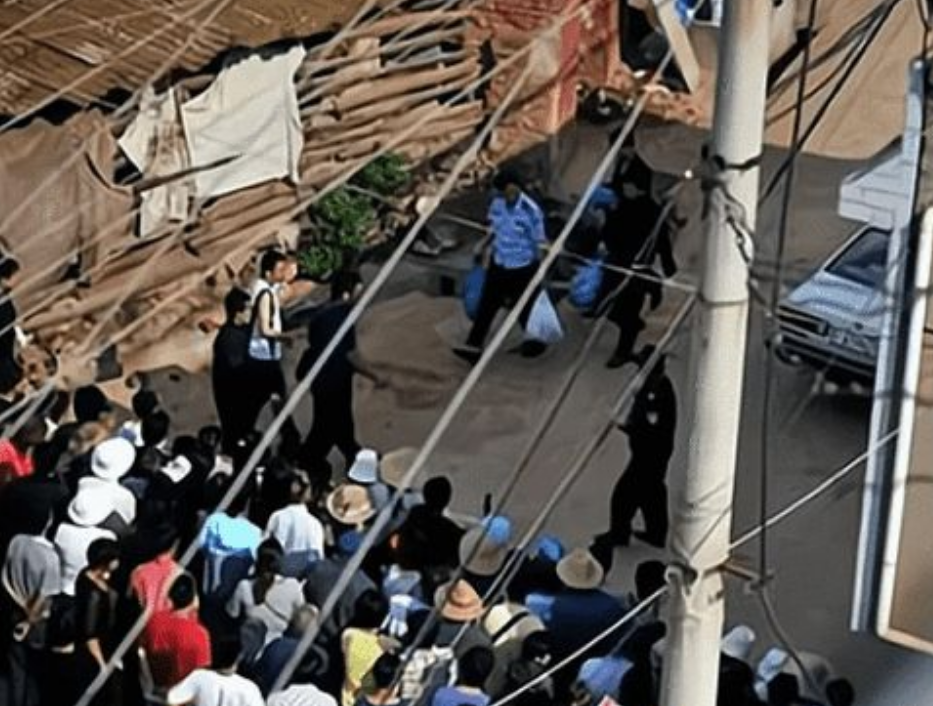 2008年,11名少年接连遇害却不见尸体,凶手笑称:当鸵鸟肉卖了