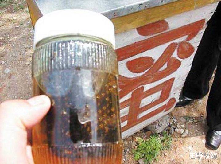 田野牧蜂|摇的蜂蜜和压榨的蜂蜜哪个好? 摇出来的蜜好还是压榨的蜜好?