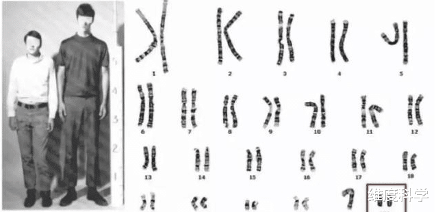 纳米 Y染色体决定男性、女性，那如果出现YY染色体的人会怎么样？