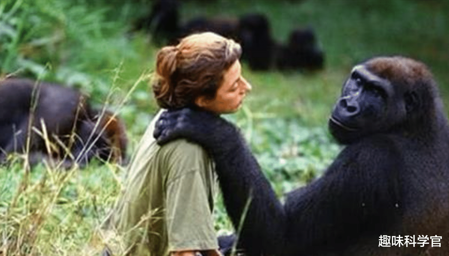 基因 疯狂的“人猿杂交”实验,曾有5名女性为科学献身,结果悲剧了!