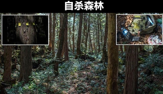 猛犸象 通过谷歌地球发现：在世界不同地方存在的7个怪异的事物