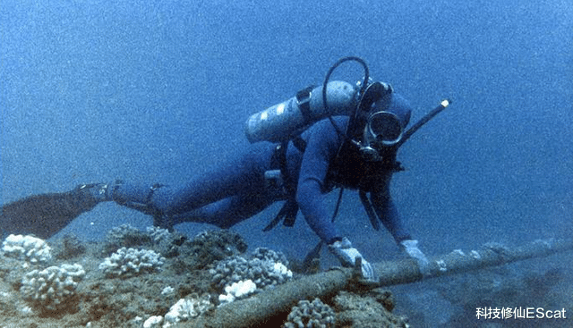 科技修仙EScat|超级太阳风暴会带来互联网“末日”，而我们只有13小时用来防御