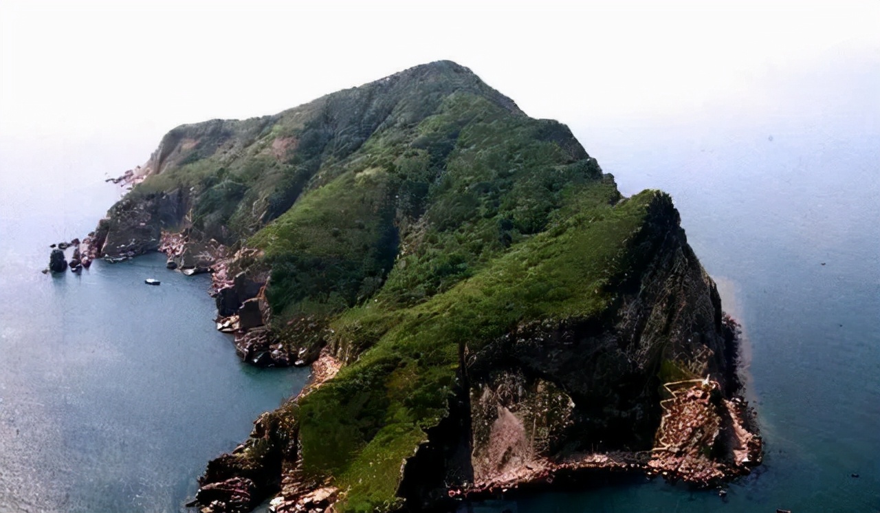 大连|20000条毒蛇“霸占”渤海小岛，从哪里来的，为何蛇毒越来越强？