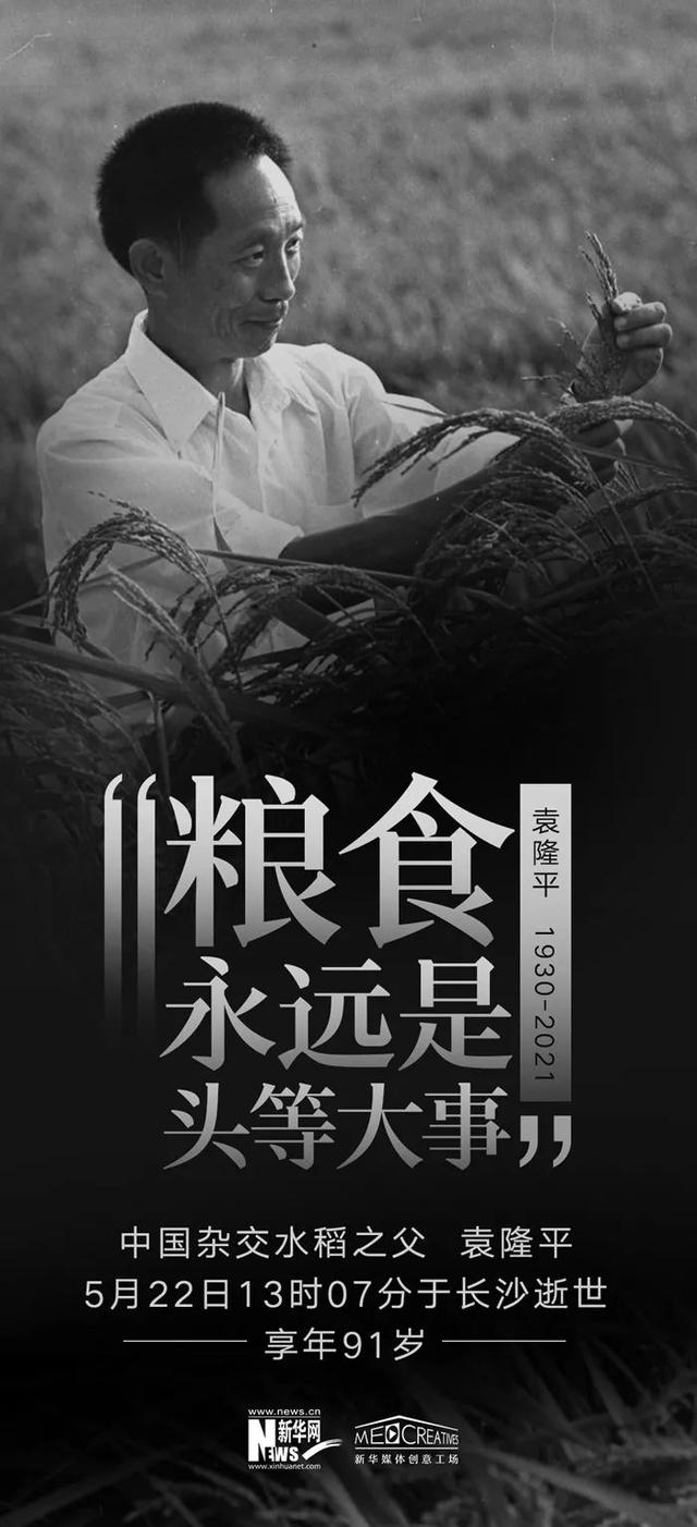 南阳日报 为袁隆平先生歌