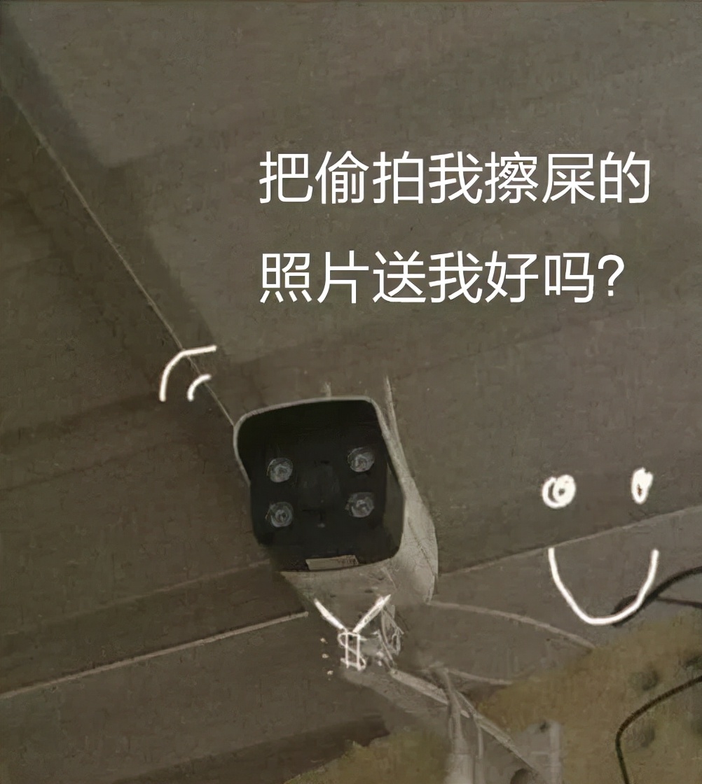 菊花|菊花一紧！它竟然可以用来擦屁股？擦错了小心病菌找上门