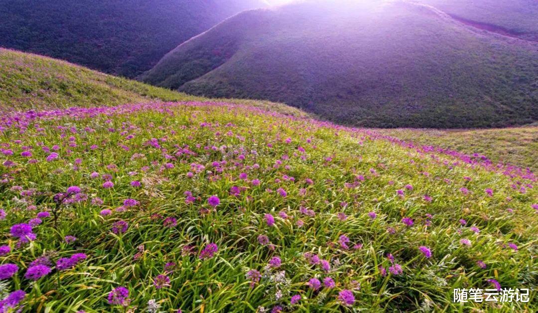 杭州 你的夏天是多少摄氏度？这里的夏天只有19℃！来，打开夏日避暑模式！