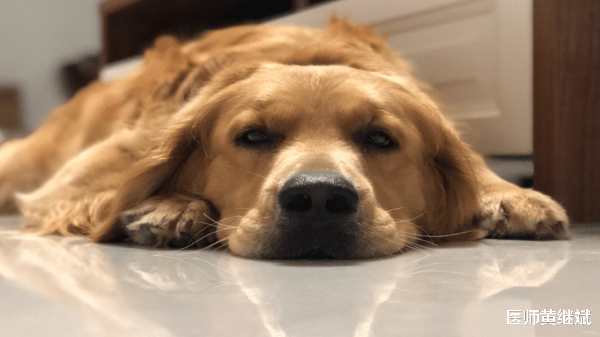 紫薯|两步走确诊细菌感染,还是病毒感染?医生来解读