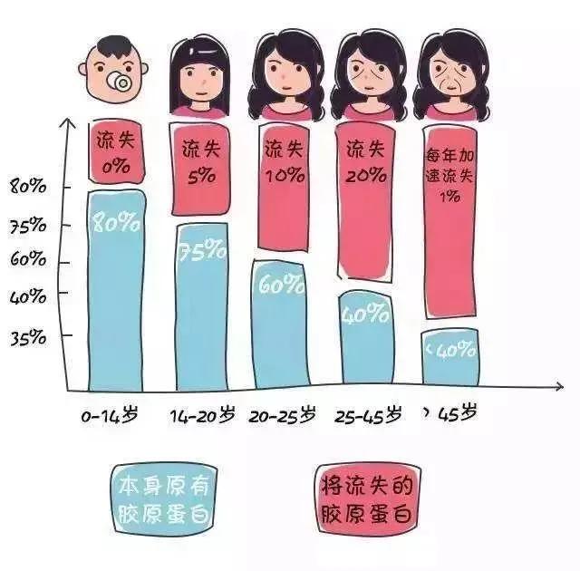 小美说美|面部三八线是指什么