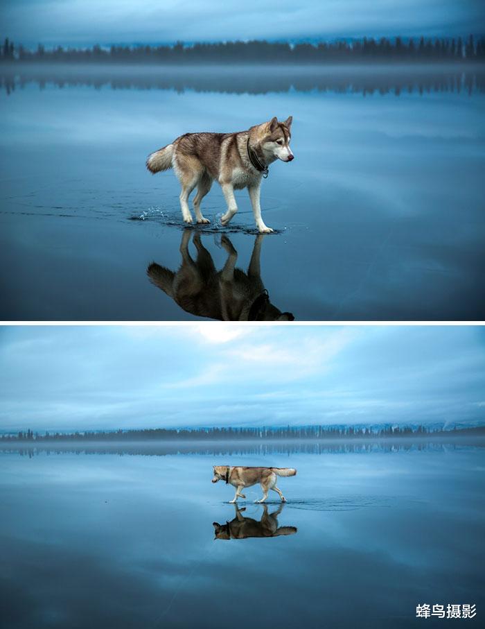  40张罕见“不科学”的照片，蜘蛛丝能吊起大冰坨，蜘蛛侠没骗人