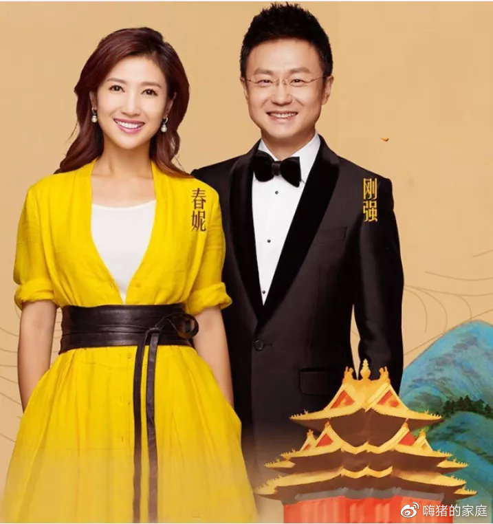 春妮|与前夫丁克8年,二婚嫁给央视名嘴后:没想到,她活成这样了
