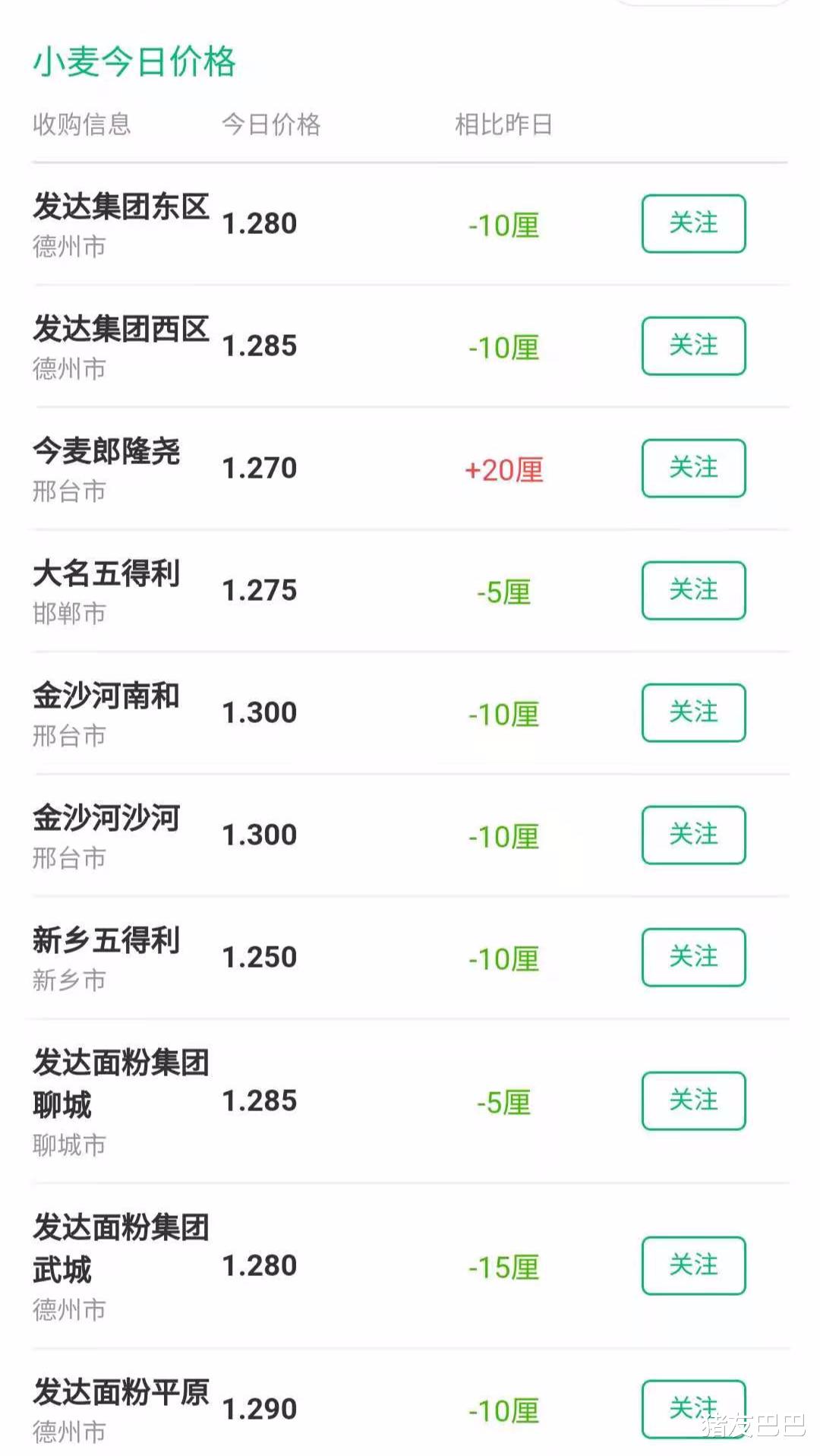 生猪价格 猪价、粮价预警：6月1日，今日国内生猪、玉米、小麦行情已更新！