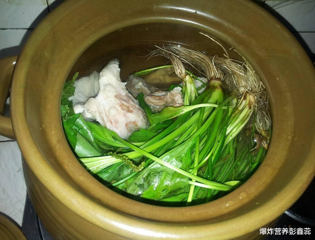 医生|痛风的“天敌”是车前草？常吃车前草是好事还是坏事？已见分晓