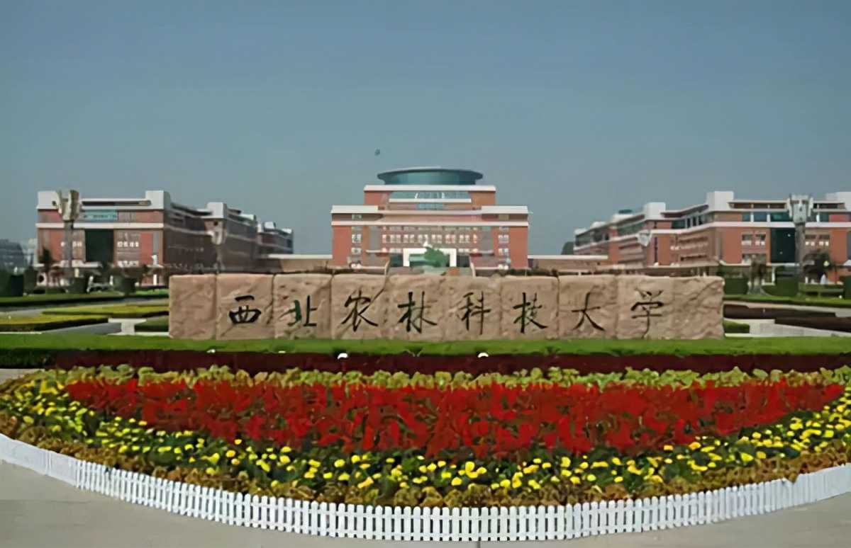 蒙蒙聊星座|西北农林科技大学官宣进双一流A类，东北大学和湖南大学还有悬念吗？