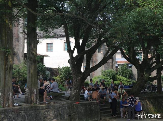 Ya丫东游记 宁波一个“慢节奏”的村子，藏在深山老林中，休闲放松养老好去处